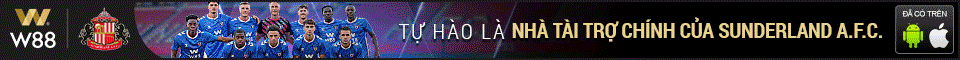 Banner W88